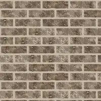 BrickNew Castle Gray With LightStandard