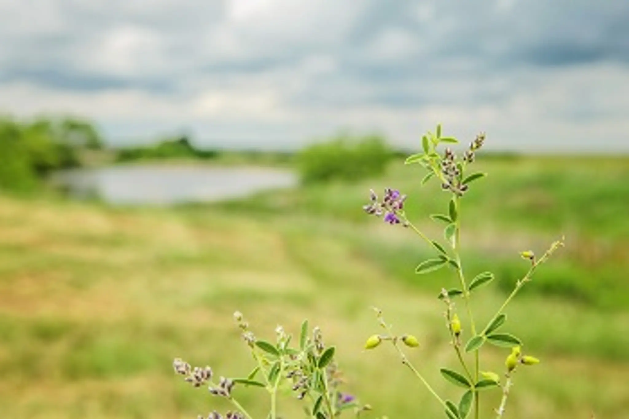 Thumbnail - Your Land