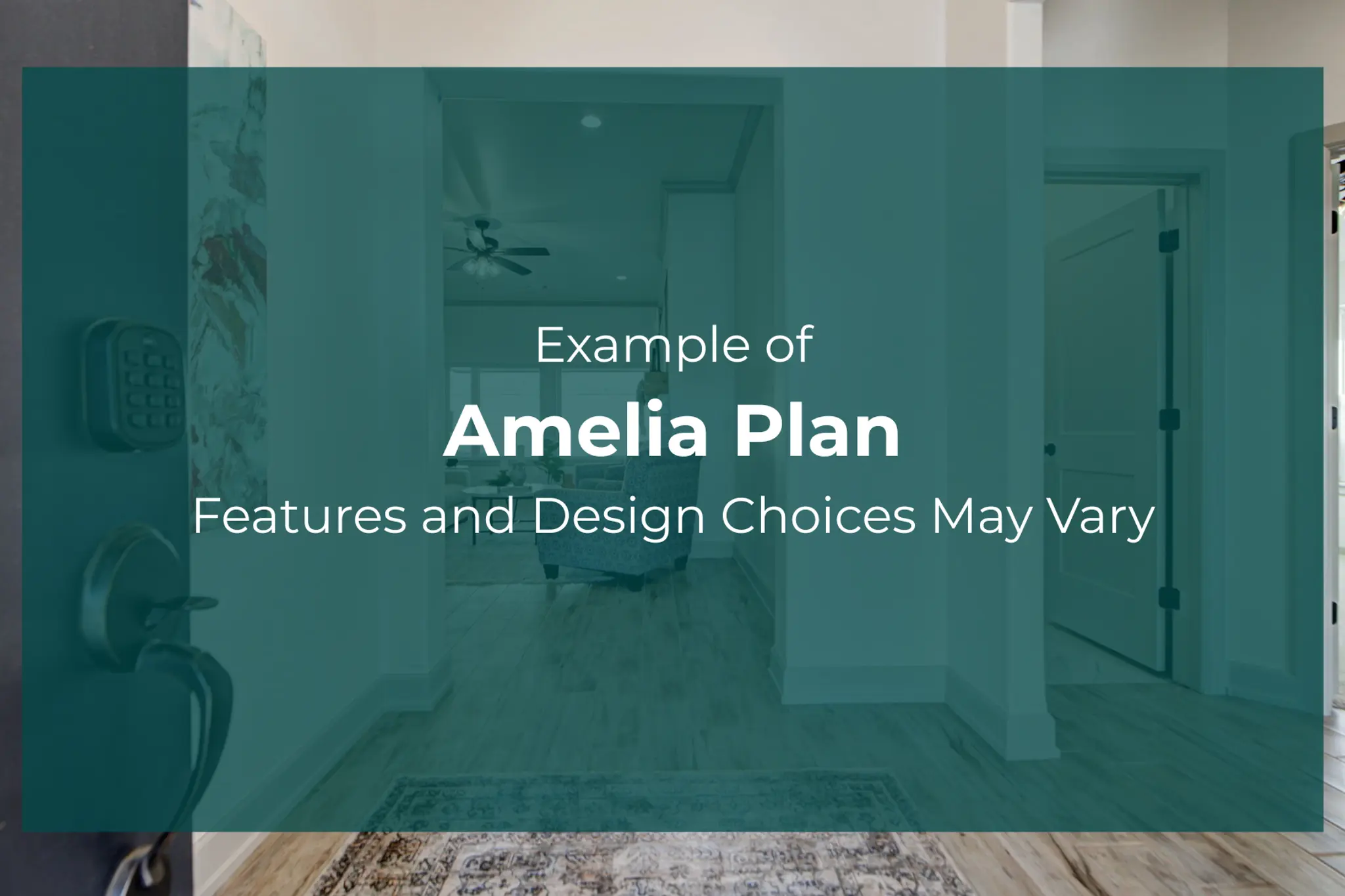 Amelia - Interior Photo 4