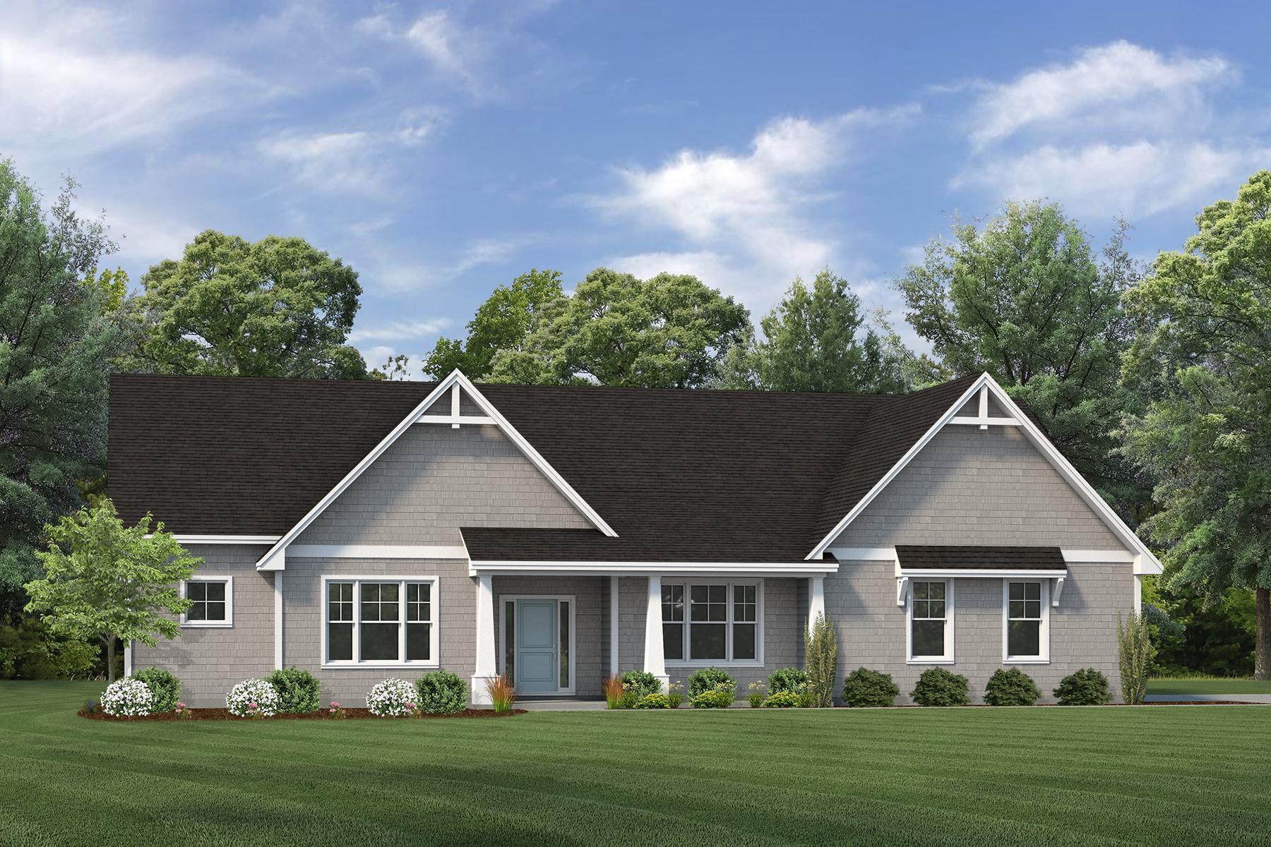 Thumbnail - Shoreline