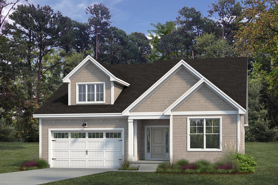 Thumbnail - Shoreline