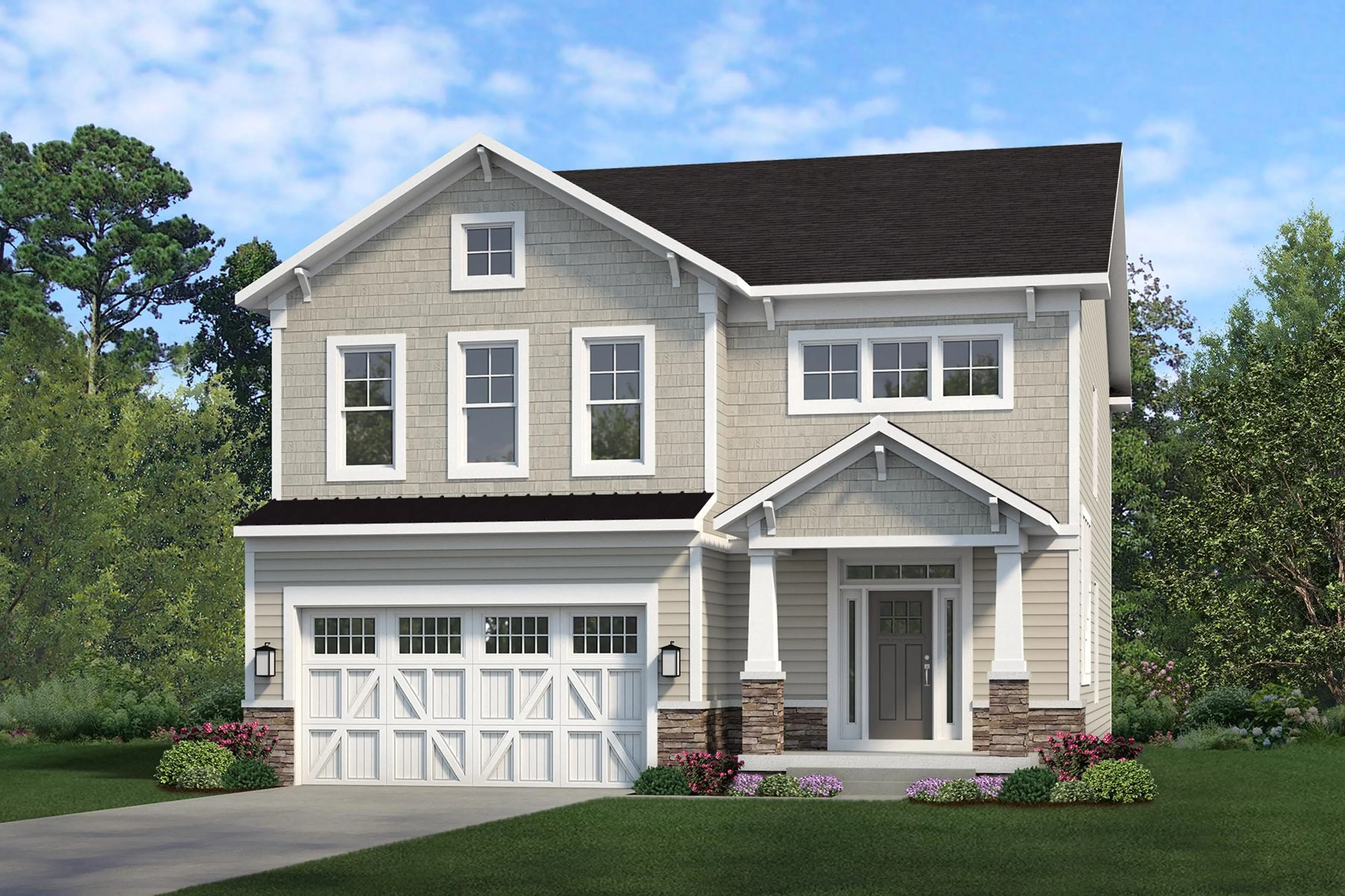 Elevation Image
