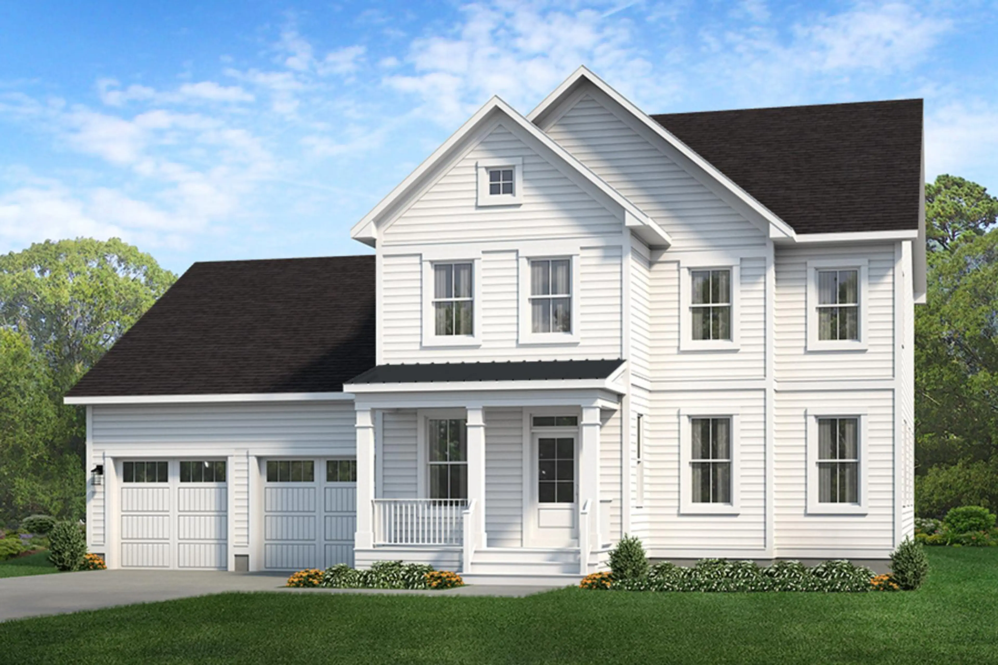 Elevation Image