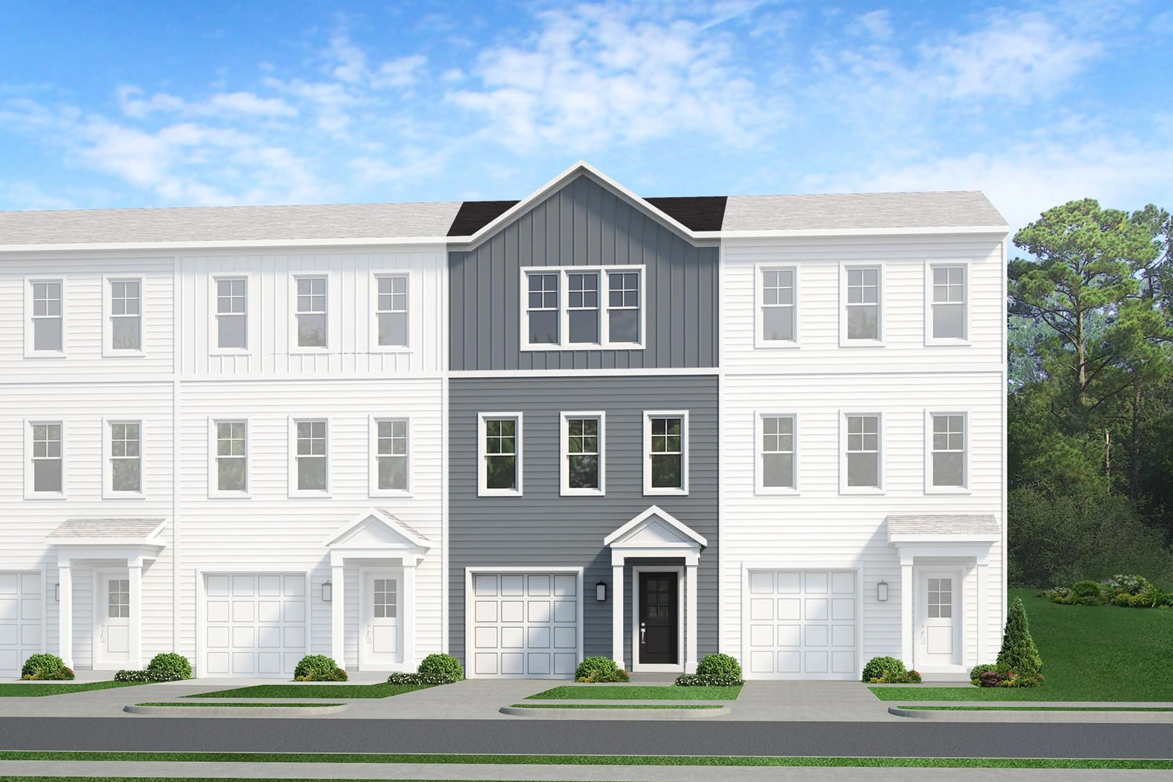 Elevation Image