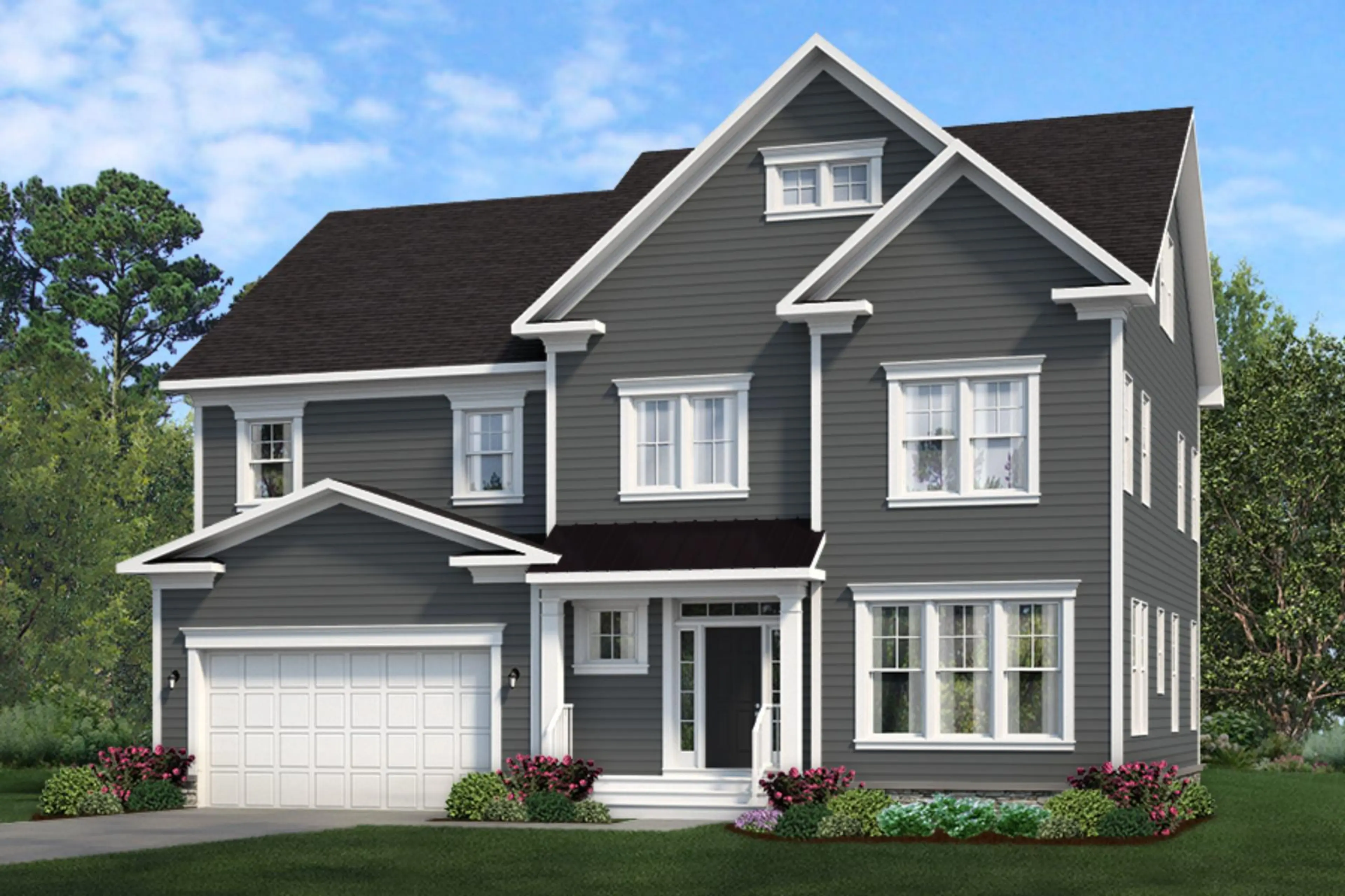 Elevation Image