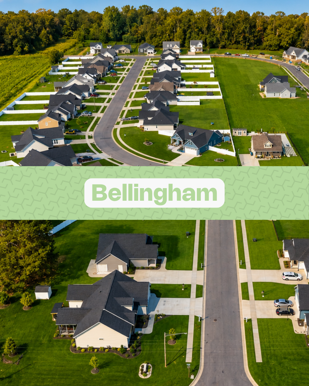Thumbnail - Bellingham