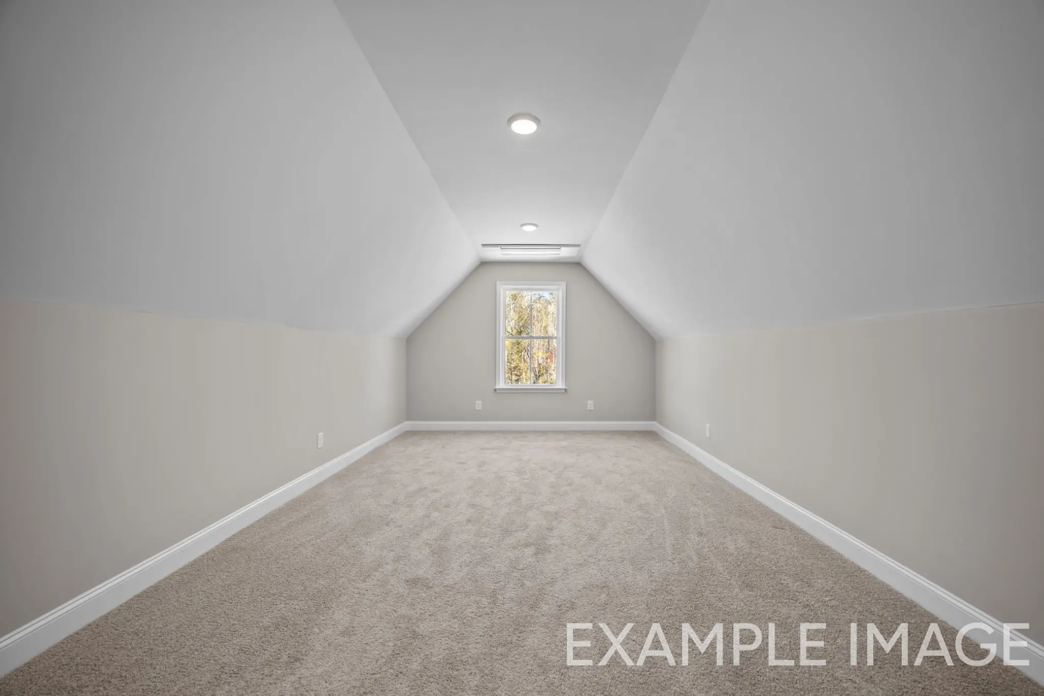 Bancroft - Interior Photo 19