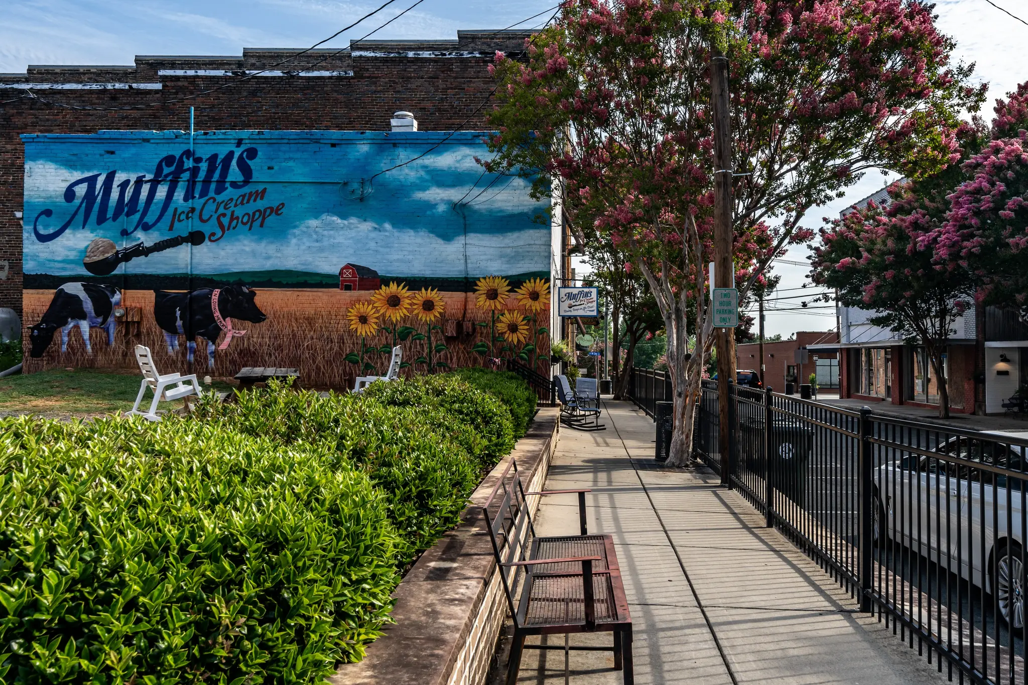 Tupelo Junction - Thumbnail