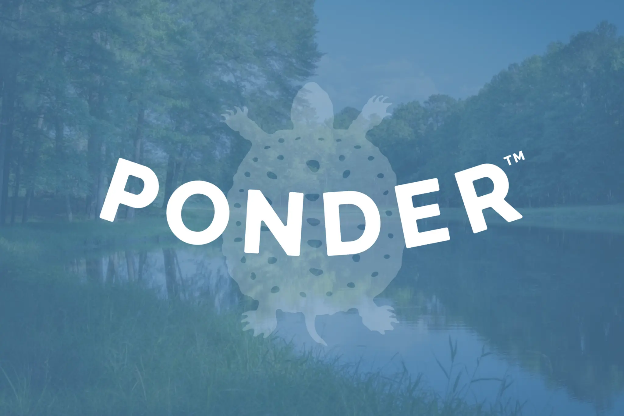 Ponder - Thumbnail