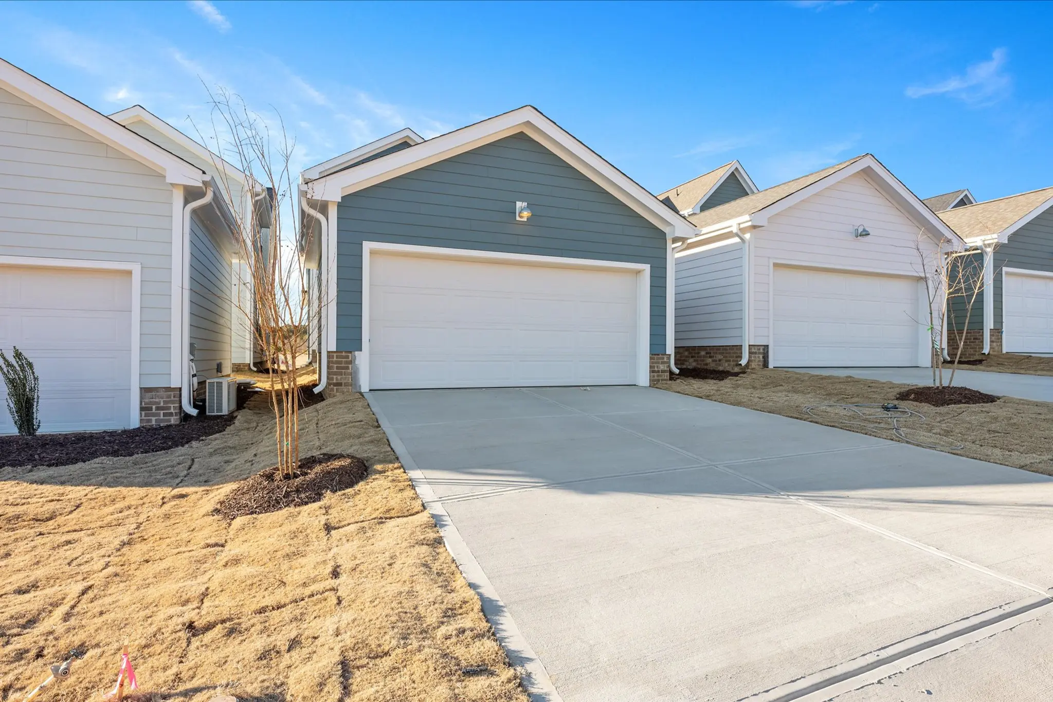 *Representative Photos