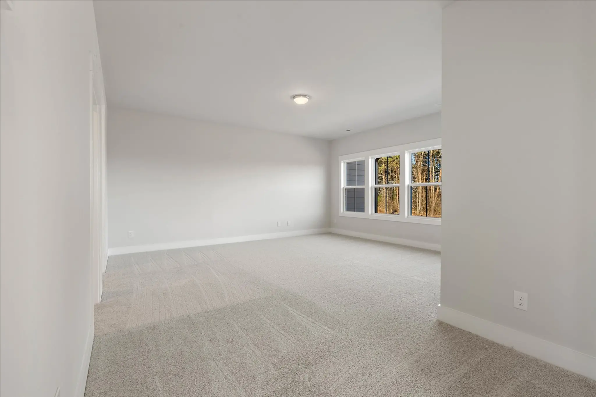 Logical and Linear - Interior Photo 36