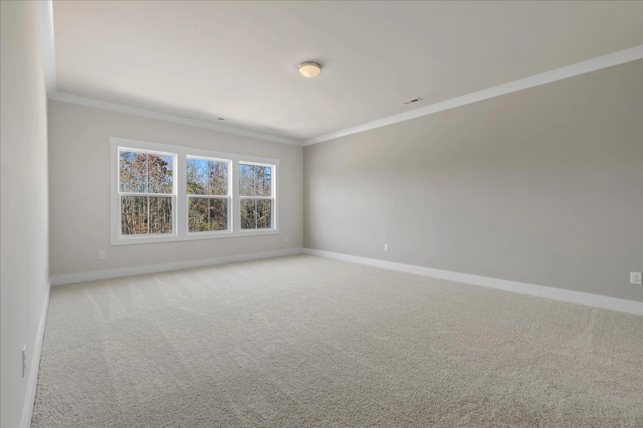 Logical and Linear - Interior Photo 19