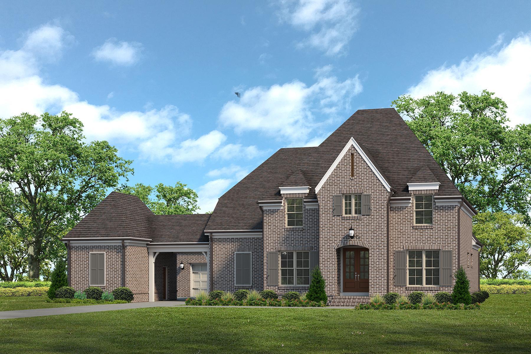 Thumbnail - Savannah I