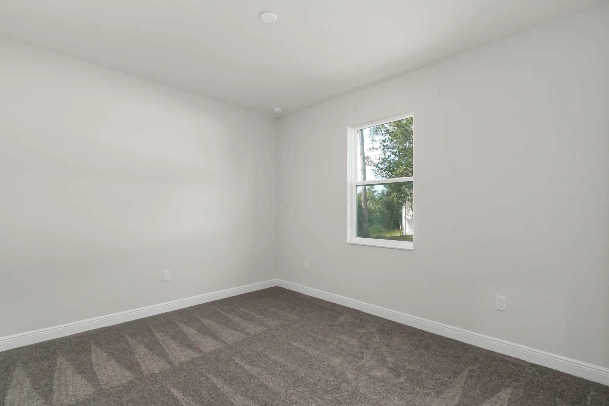 Willow - Interior Photo 14