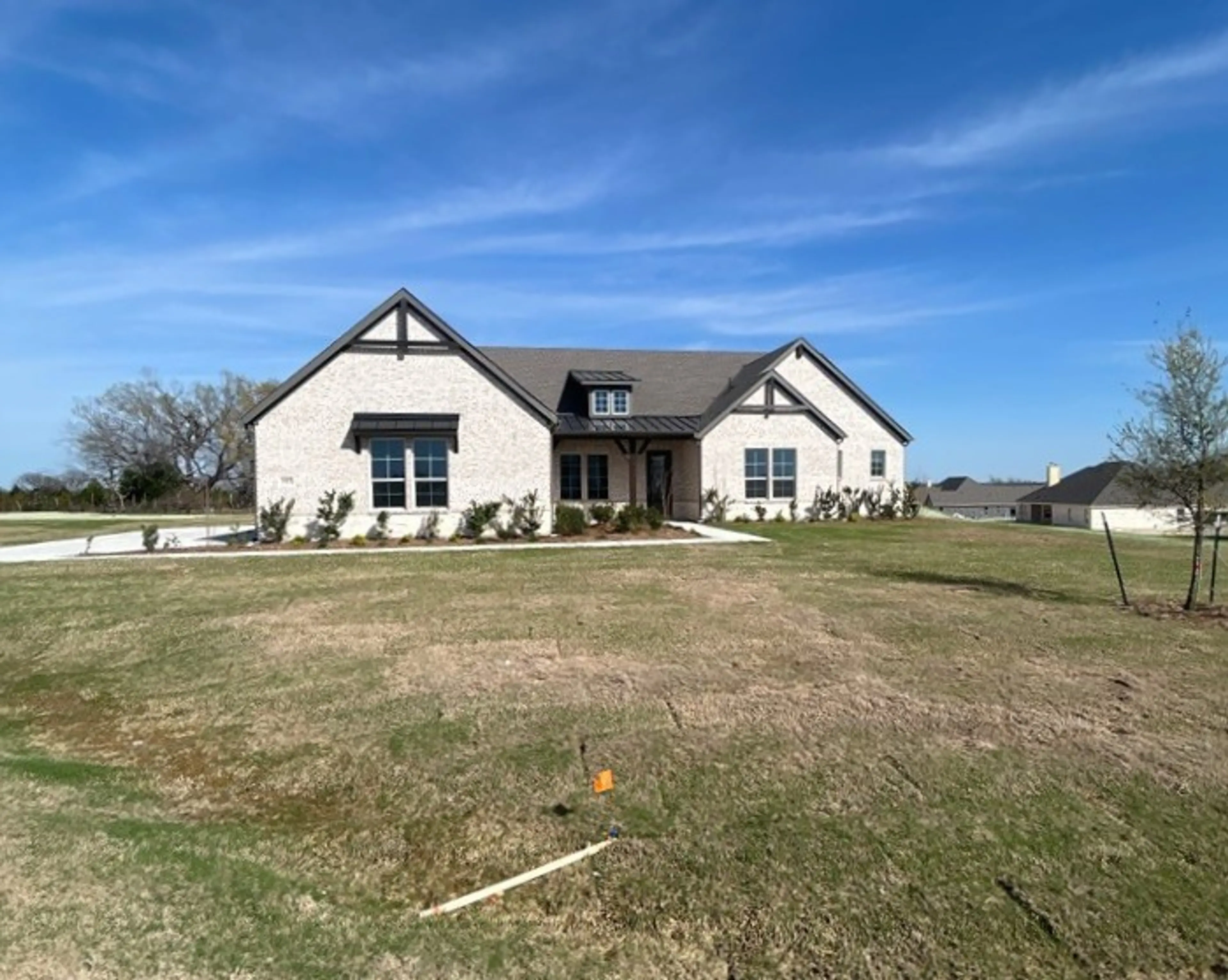 Mockingbird - European