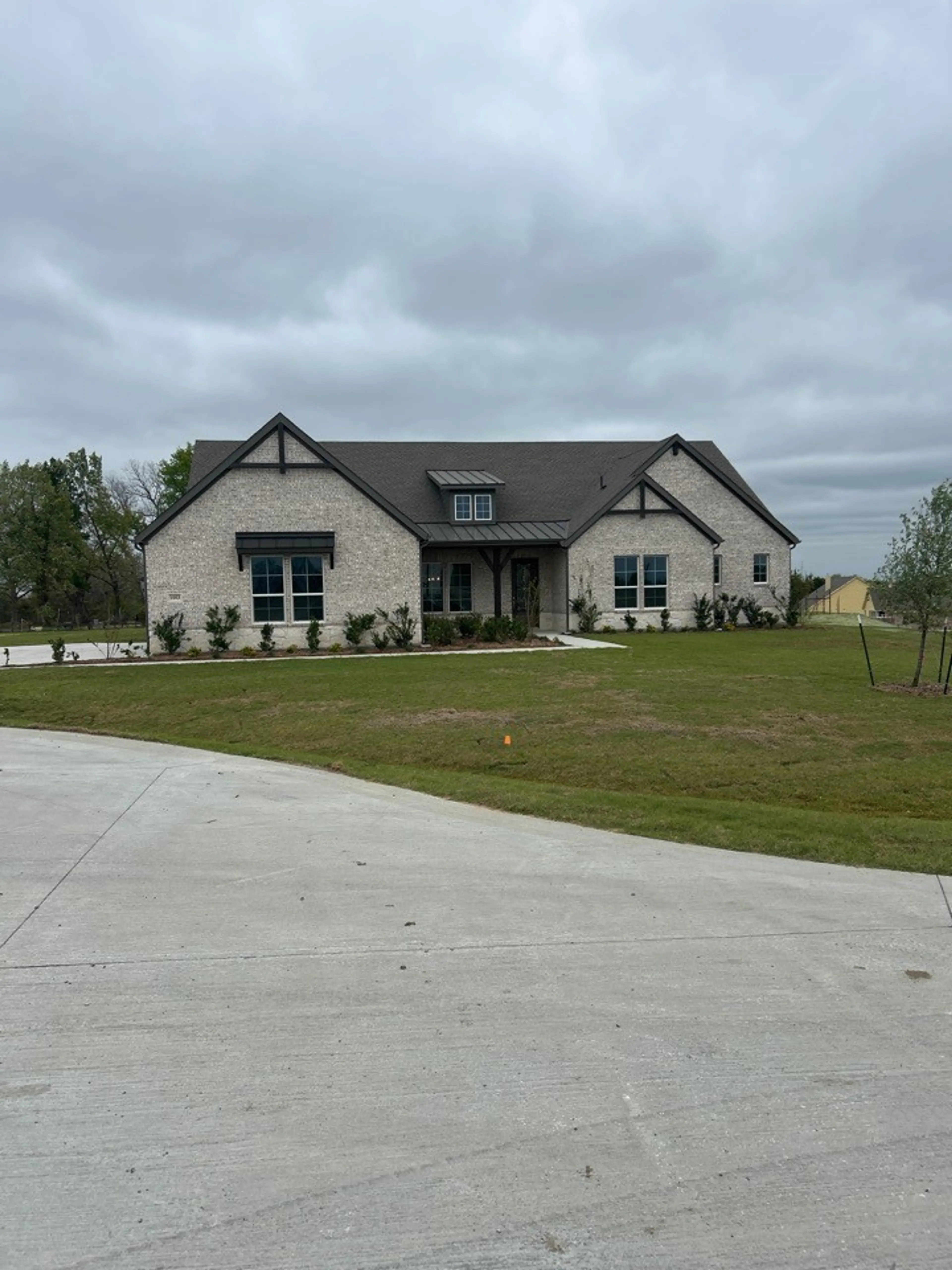 Mockingbird - European