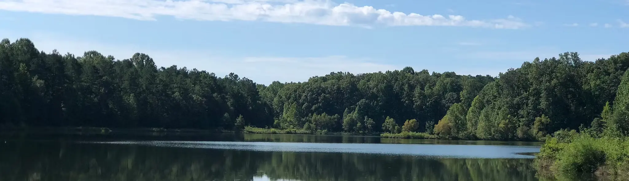 Thumbnail - Maple Grove