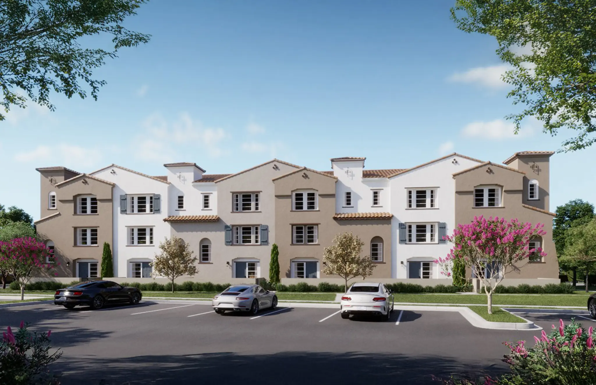 Plan D - Palmera-1