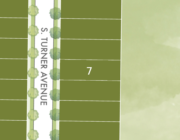 Lot 7 preview