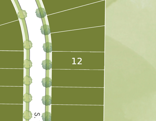 Lot 12 preview