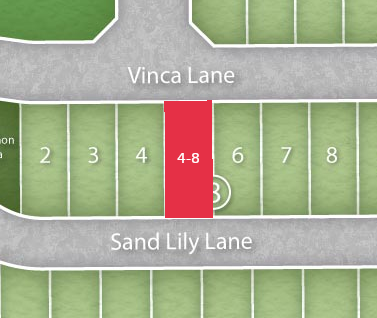 Lot 4-8 preview