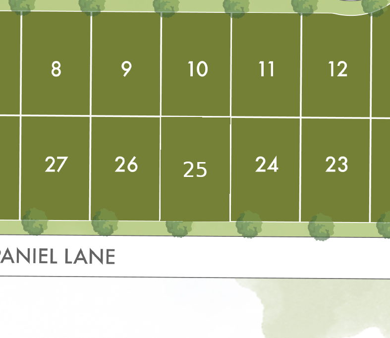 Lot 25 preview