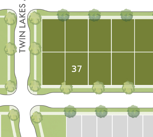 Lot 37 preview