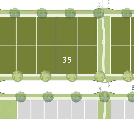 Lot 35 preview