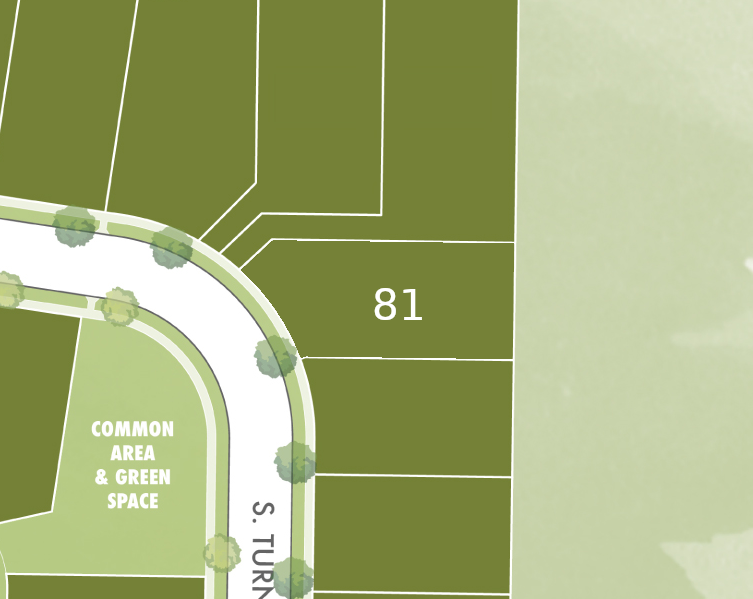 Lot 81 preview