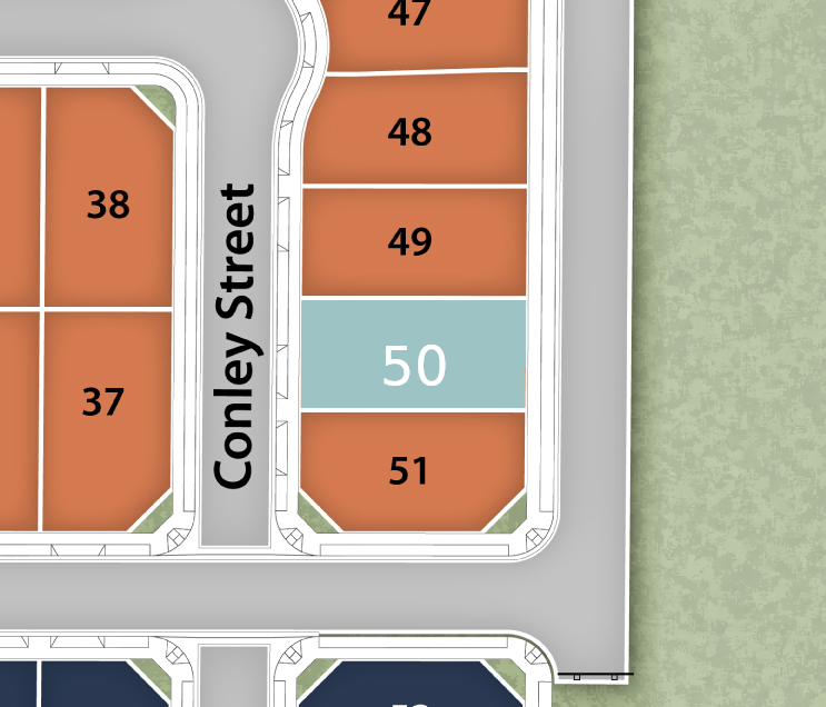 Lot 50 preview