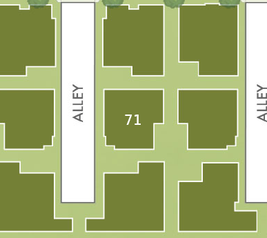 Lot 71 preview