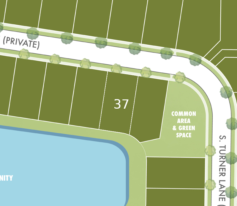 Lot 37 preview
