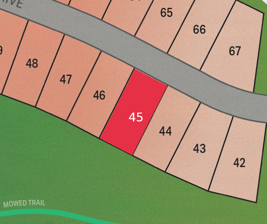 Lot 45 preview