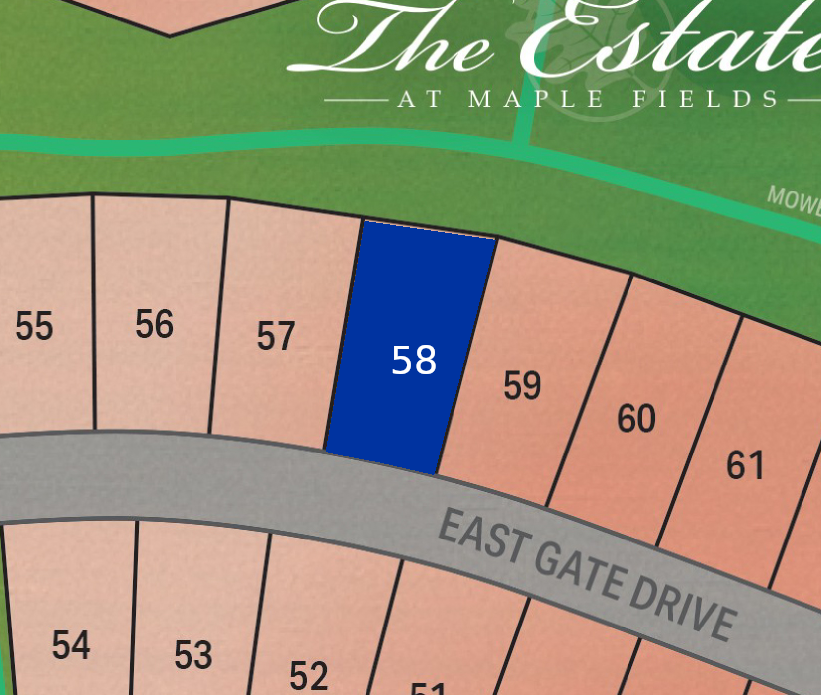 Lot 58 preview
