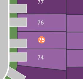Lot 75 preview