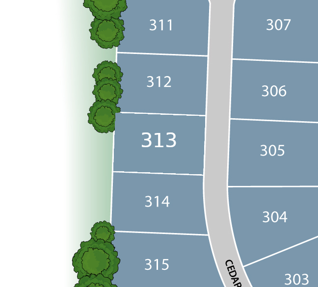 Lot 313 preview