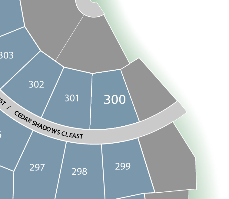 Lot 300 preview