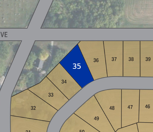 Lot 35 preview