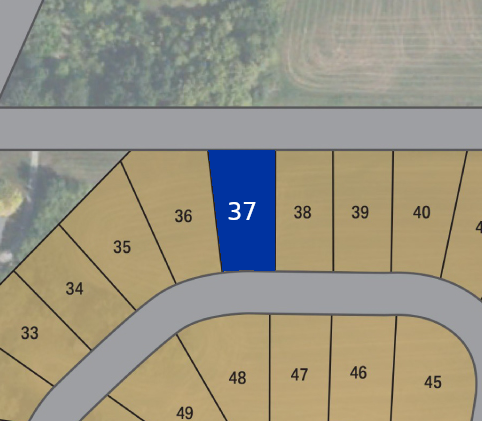 Lot 37 preview