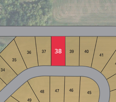 Lot 38 preview