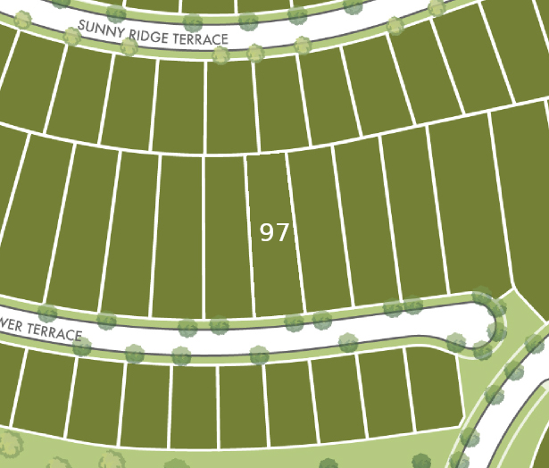 Lot 97 preview