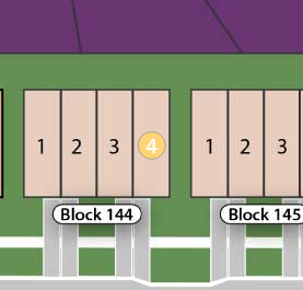 Lot 4 preview