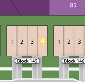 Lot 4 preview
