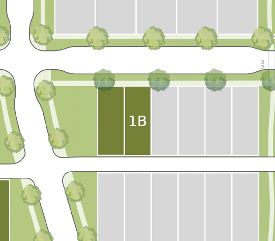 Lot 1B preview