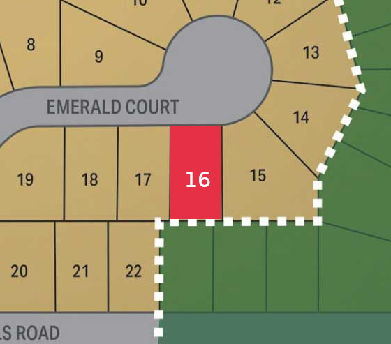 Lot 16 preview