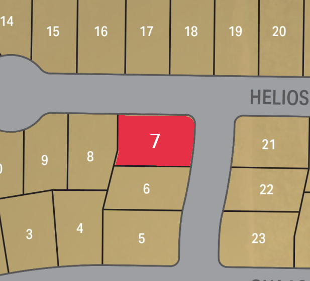 Lot 7 preview