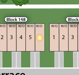 Lot 6 preview