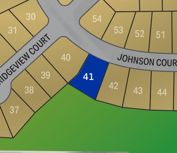 Lot 41 preview