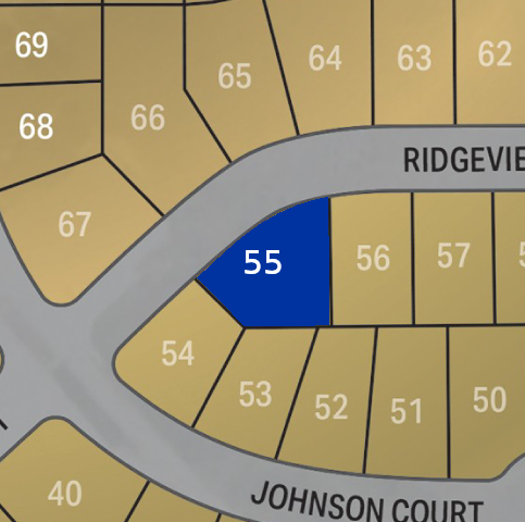 Lot 55 preview