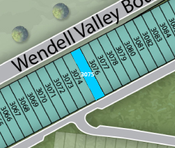 Lot 3075 preview